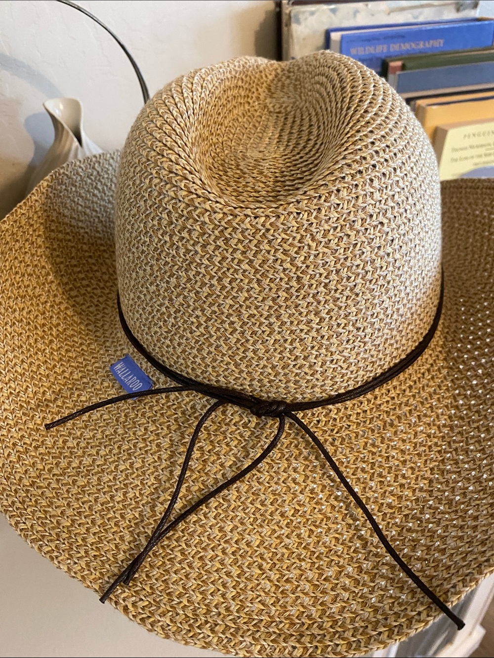 Wallaroo Hat Company Women’s Sierra Raffia Straw Sun Hat, Wide Brim - Picture 4 of 8